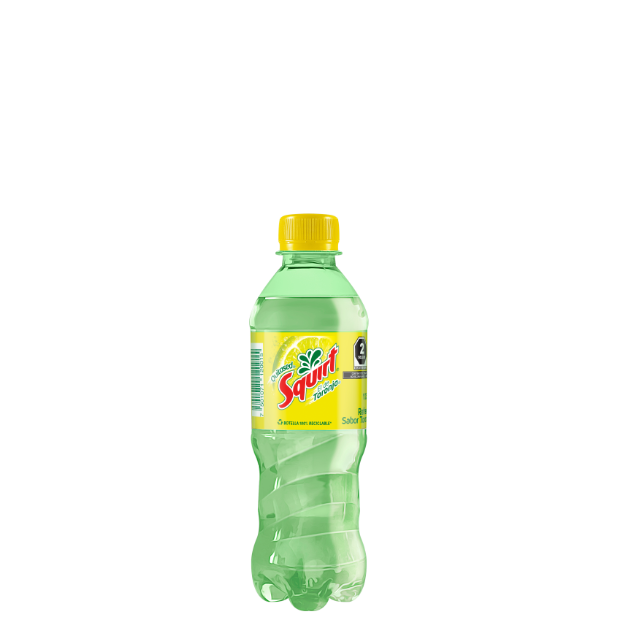 Regular Botella 355 ml