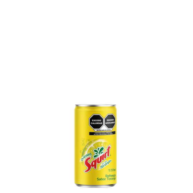 Regular Lata 237 ml